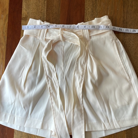 Max Studio Shorts - Picture 5 of 12